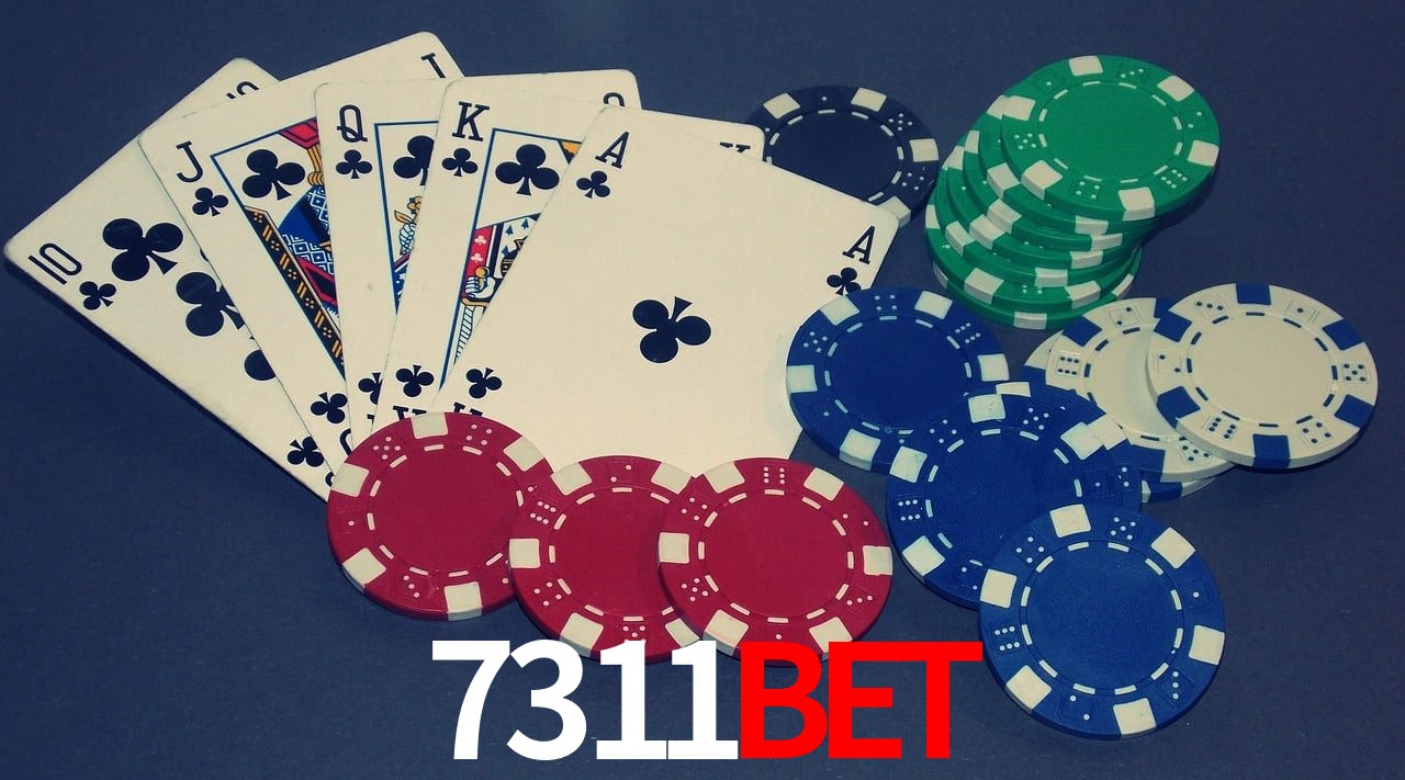 Experiência VIP 7311bet